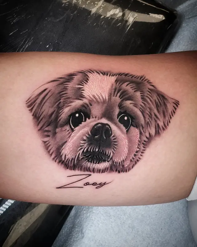Black and gray dog portrait by Chris Carp at Heart & Sword Tattoo
